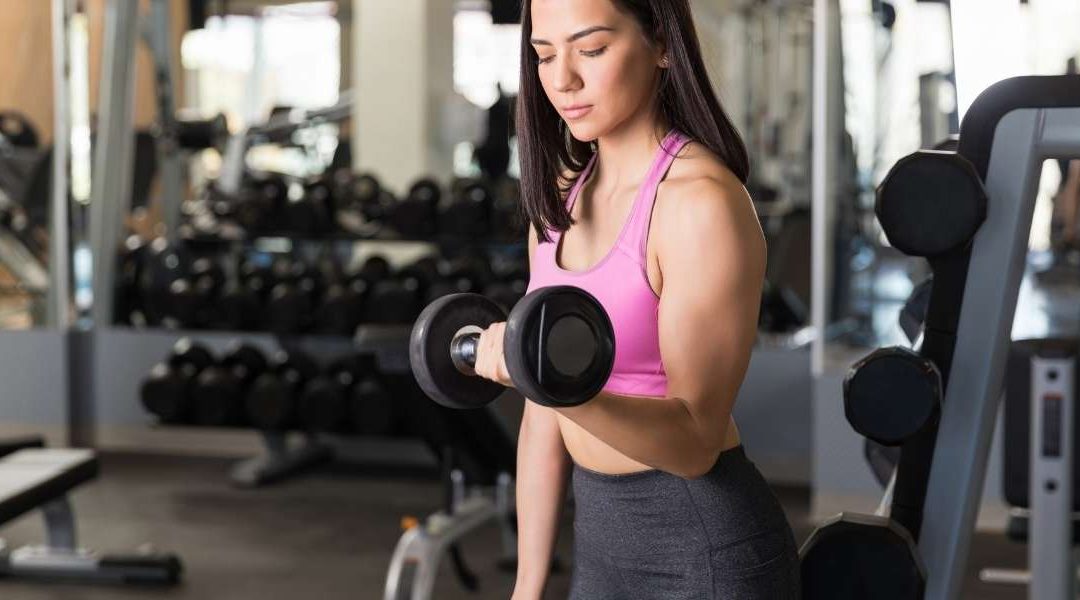 Masse musculaire : quels aliments favorisent la croissance ?