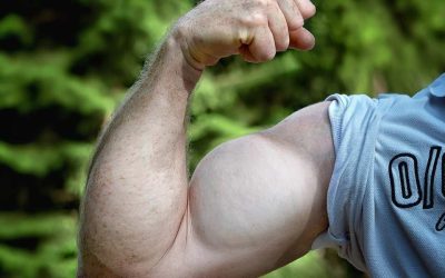 Volume musculaire : pourquoi certains stagnent-ils longtemps ?