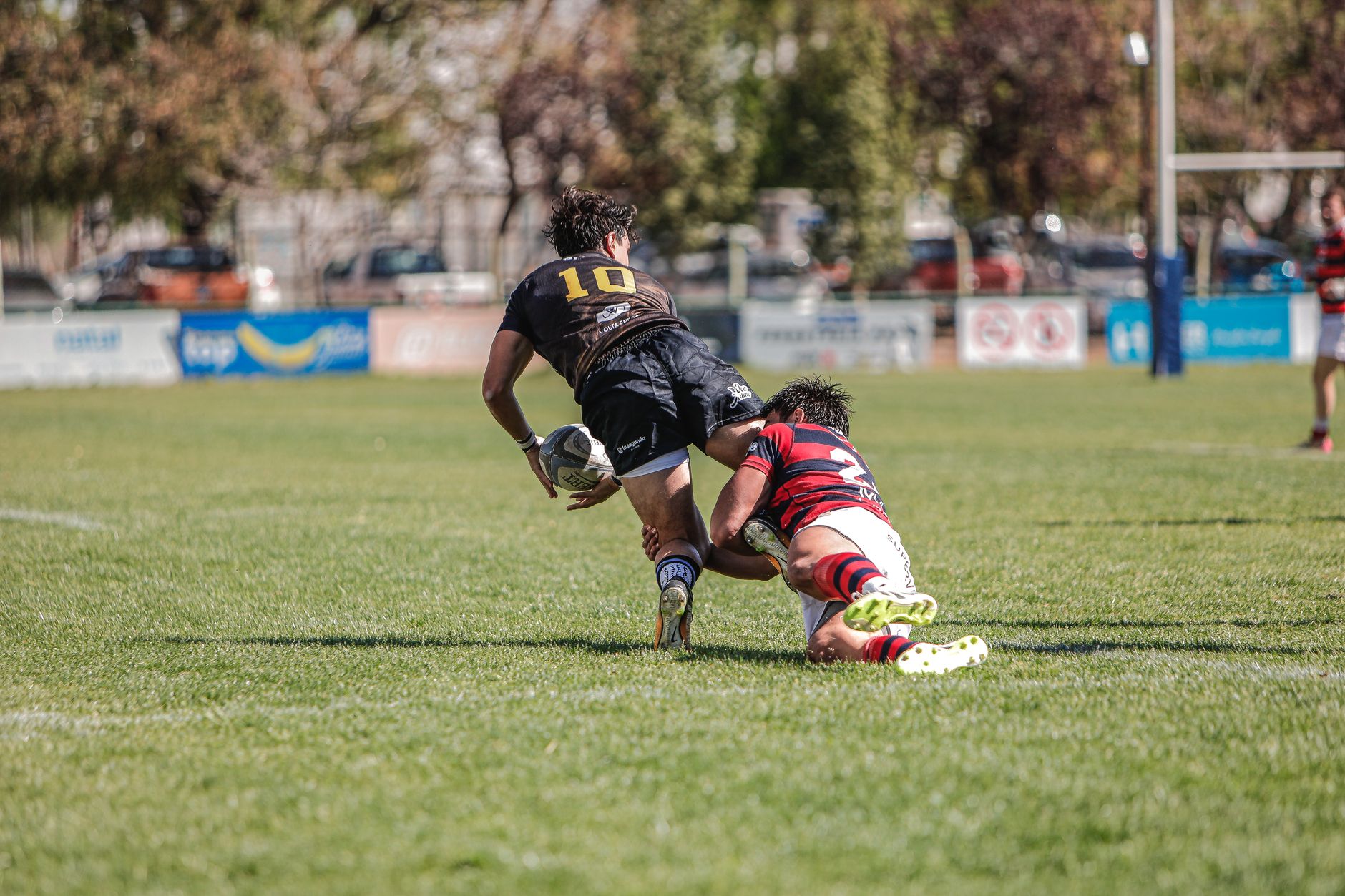 Le rugby santé pour seniors : un atout méconnu contre la perte d'autonomie ?